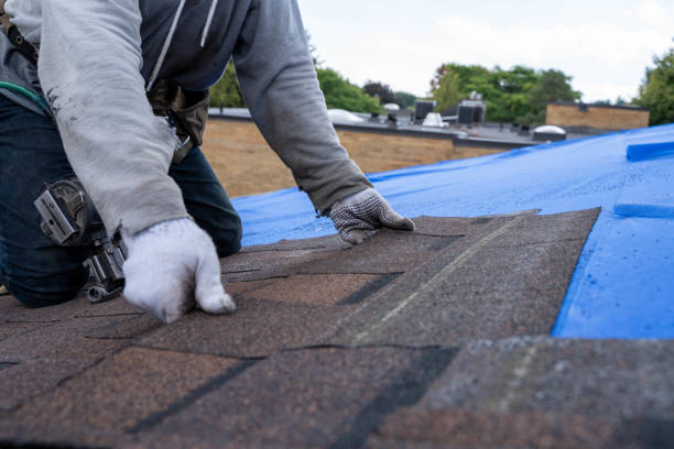 Best Roof Repair Specialists  in Middlebranch, OH